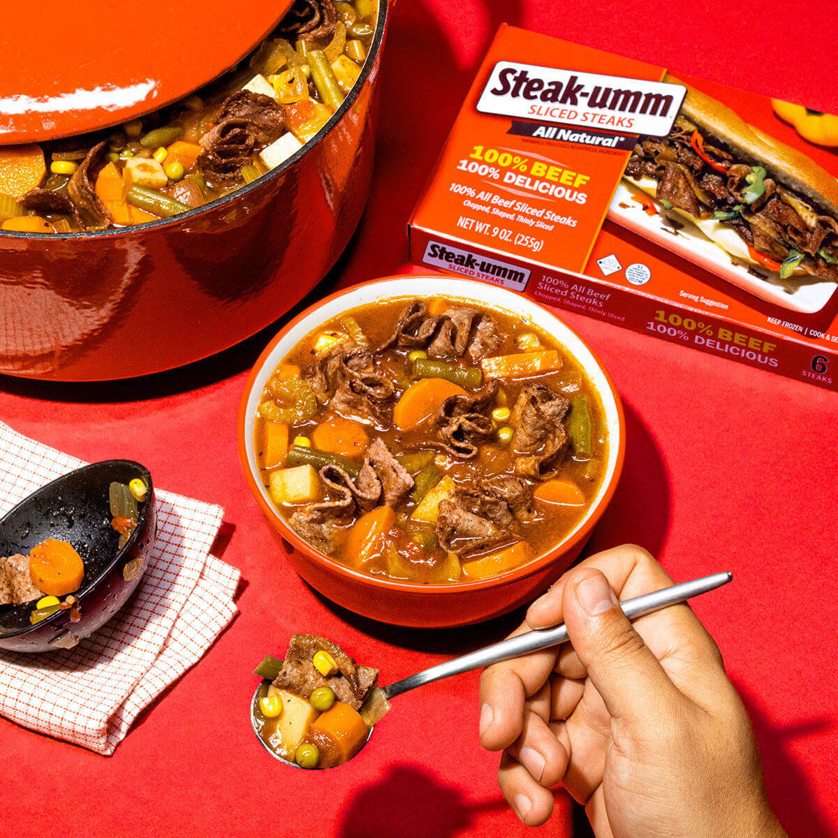 Steak-umm Vegetable Beef Soup